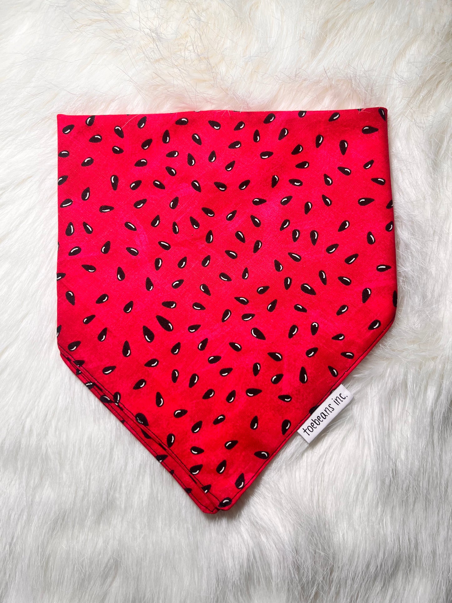 Watermelon Bandana