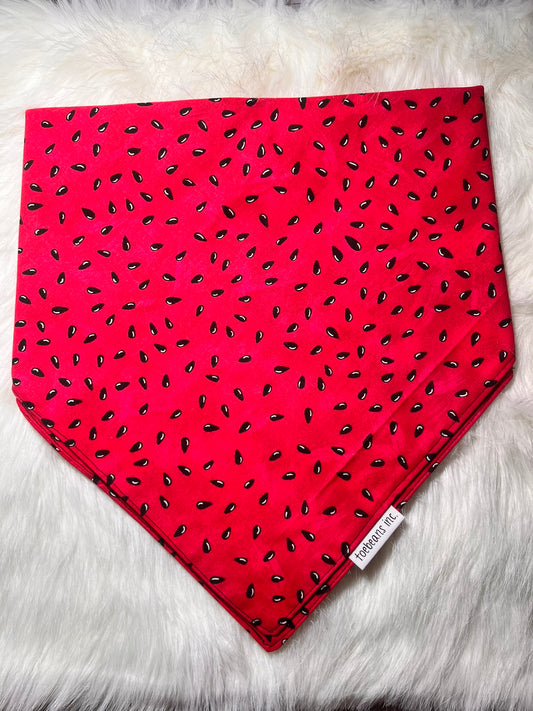 Watermelon Bandana